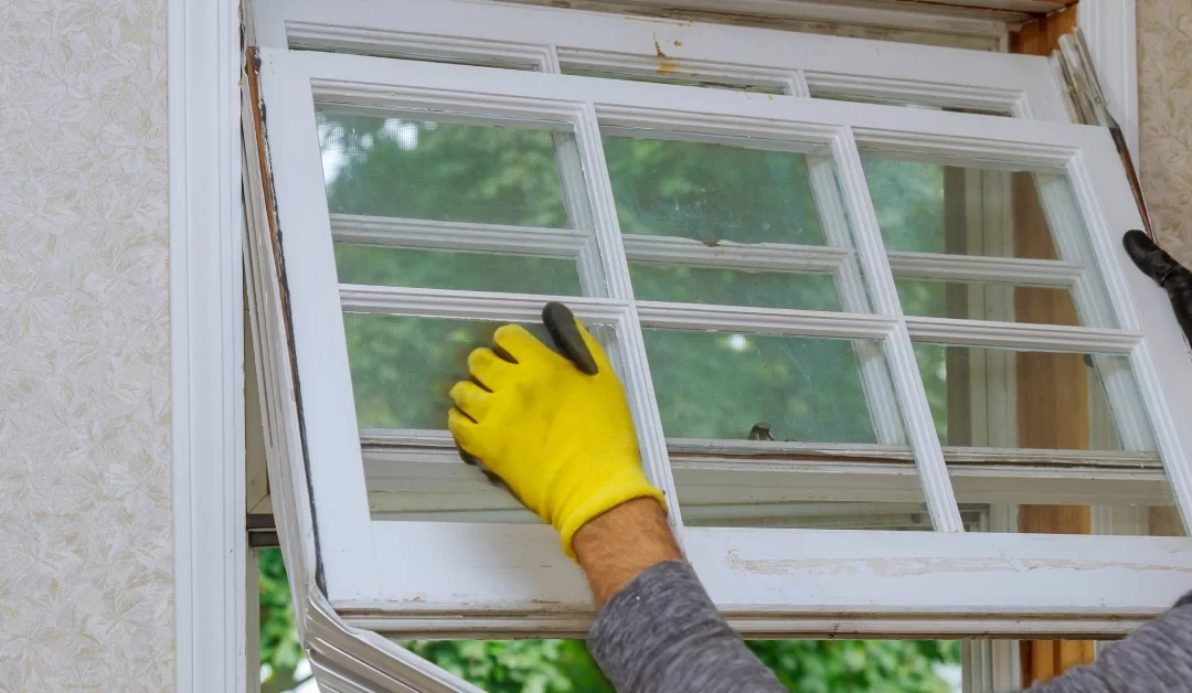 How Replacement Windows Can Improve Your Home’s Energy Efficiency