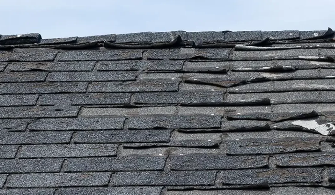 Roof Shingle Problems