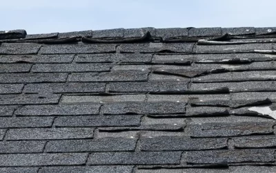 Common Roof Shingle Problems and How to Address Them