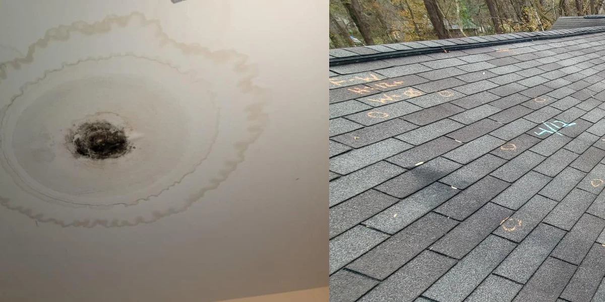 roof-leak