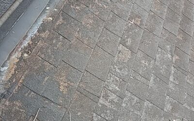 Fort Worth Roofing: Repair, Replacement & Free Inspections