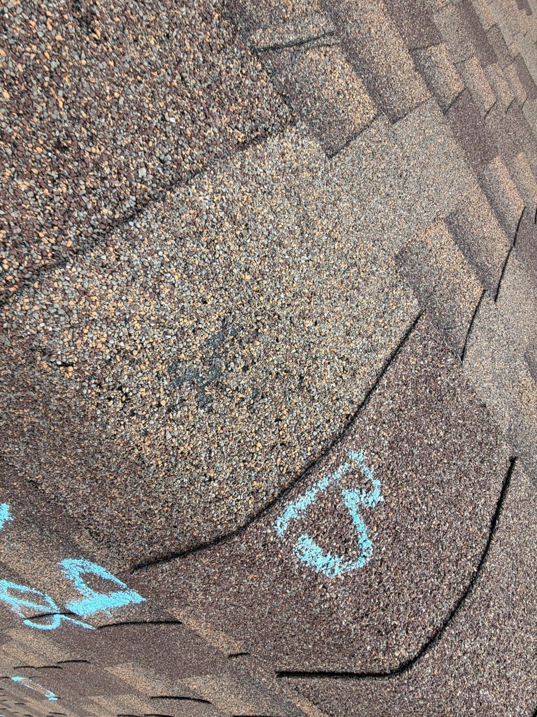 Roofer comparing metal and shingle roofing materials