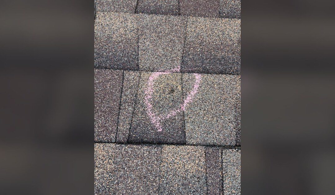 roof shingles blown off by wind