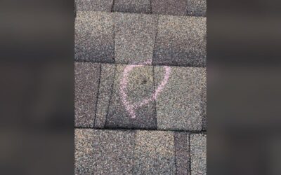 Does Homeowners Insurance Cover Shingles Blown Off Roof?