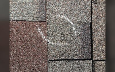 Will Insurance Help with Roof Replacement? Find Out Here