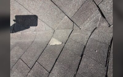 What Drives the Earnings of a Roofing Salesman?