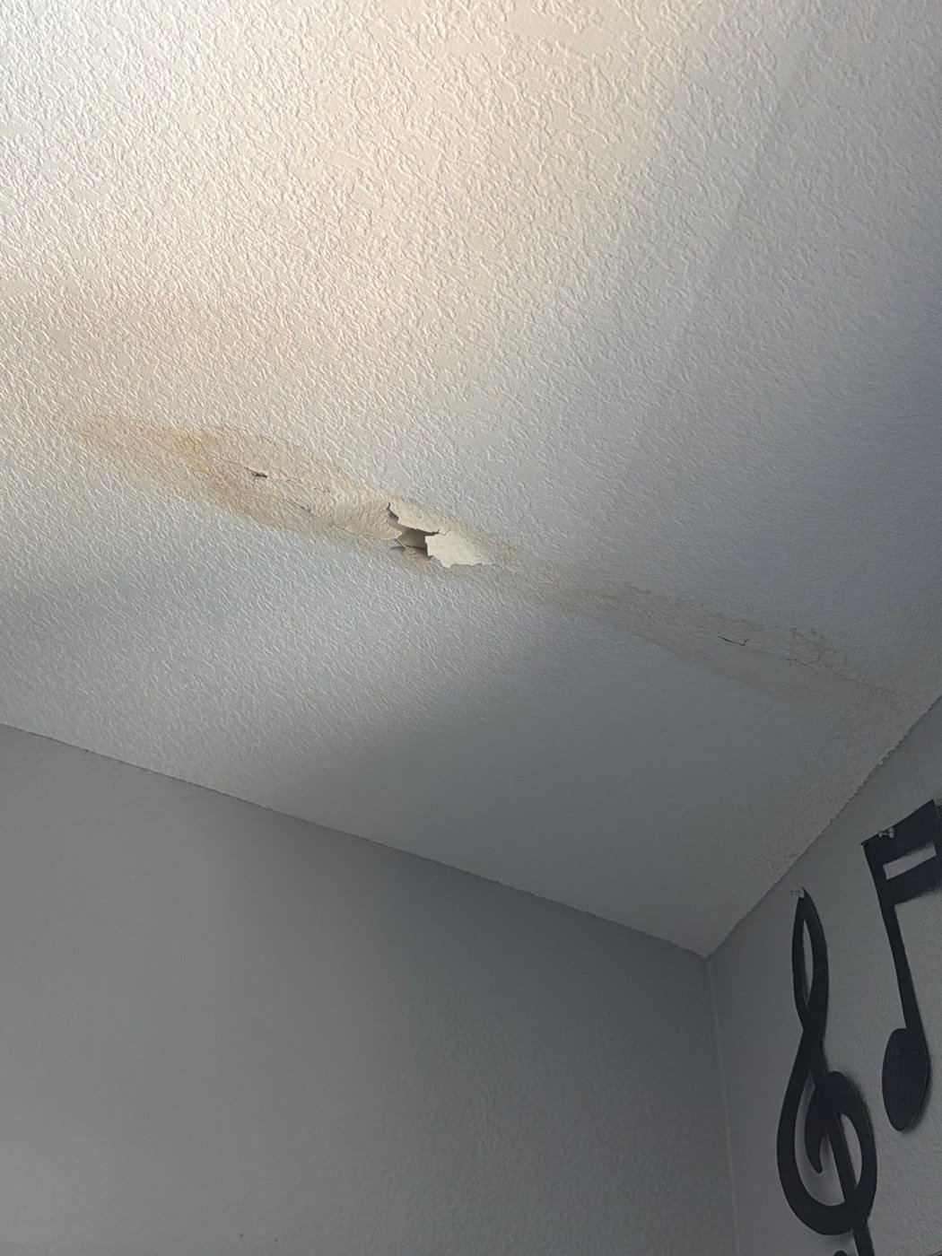 roofing company reviews