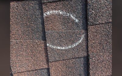 Which Roofing Shingle Is the Best for Texas Homes?